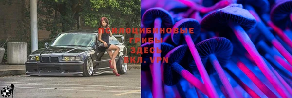 гашик Бородино