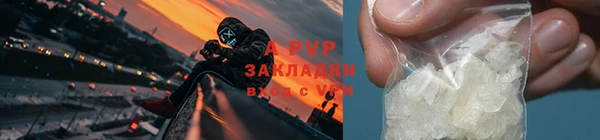 гашик Бородино