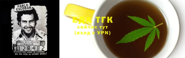 гашик Бородино