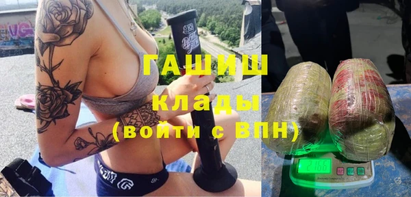 гашик Бородино