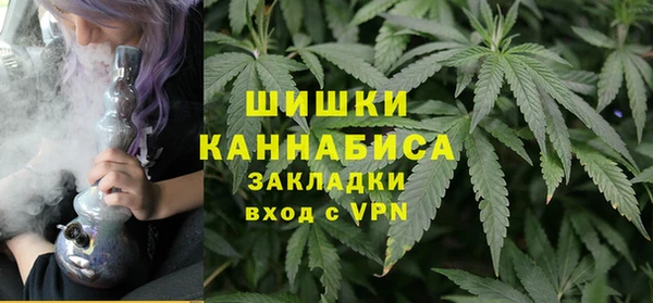 гашик Бородино