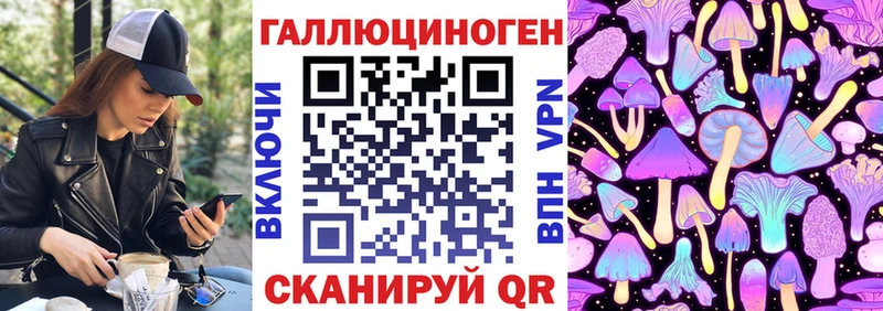 Псилоцибиновые грибы GOLDEN TEACHER  Томари 