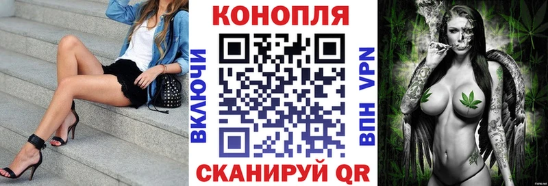 Шишки марихуана OG Kush  Томари 